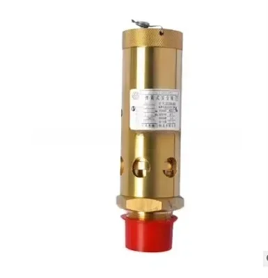 

Ship Goods Quickly Industrial Compressor Spare Parts Rotary Compressor Accessories Safety Valve 23100308