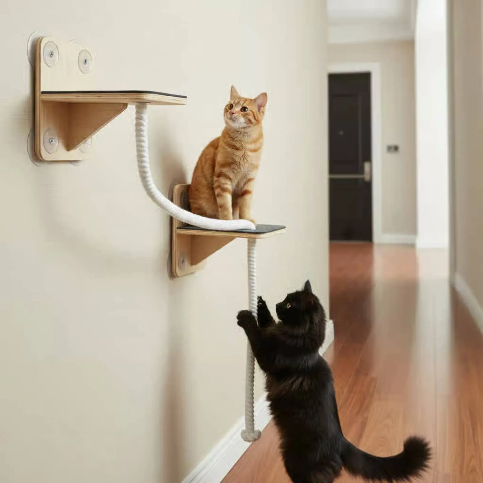 

Stacked Cat Cat Lounger Breathable Mesh Suction Suction Pad Cat Shelf Pet Supplies Easy to Clean for Felines