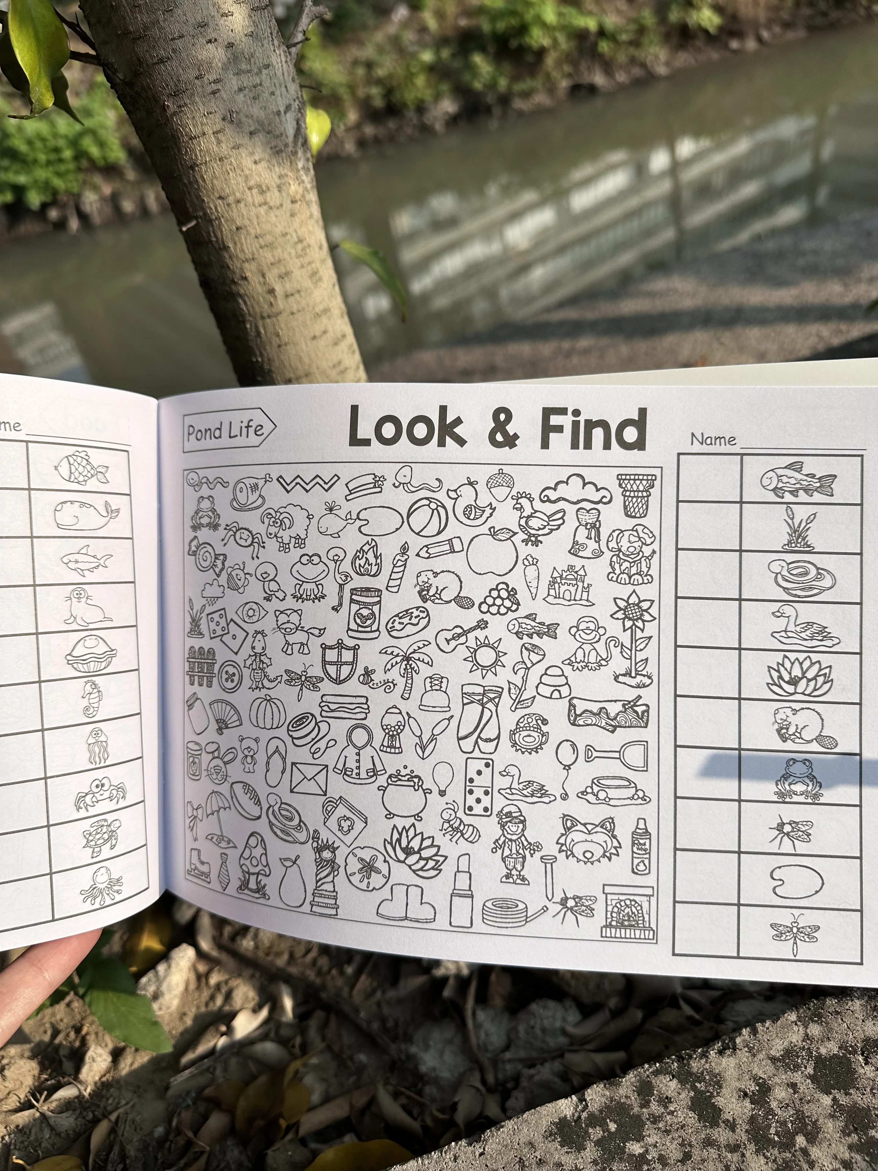 Interactive Hidden Objects Book for Youngsters Concentration Training & Educational Fun with Find and Color Puzzle School Family