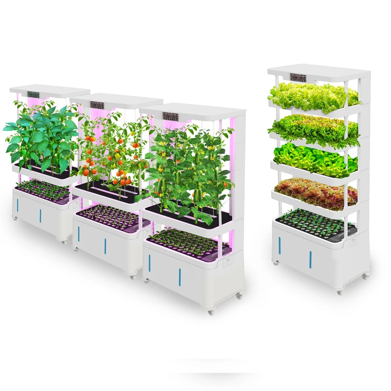 AM5  Detachable Remote Control Indoor Smart Multi-Layer Vertical Hydroponic Growing System Equipment for Fruit  Vegetable