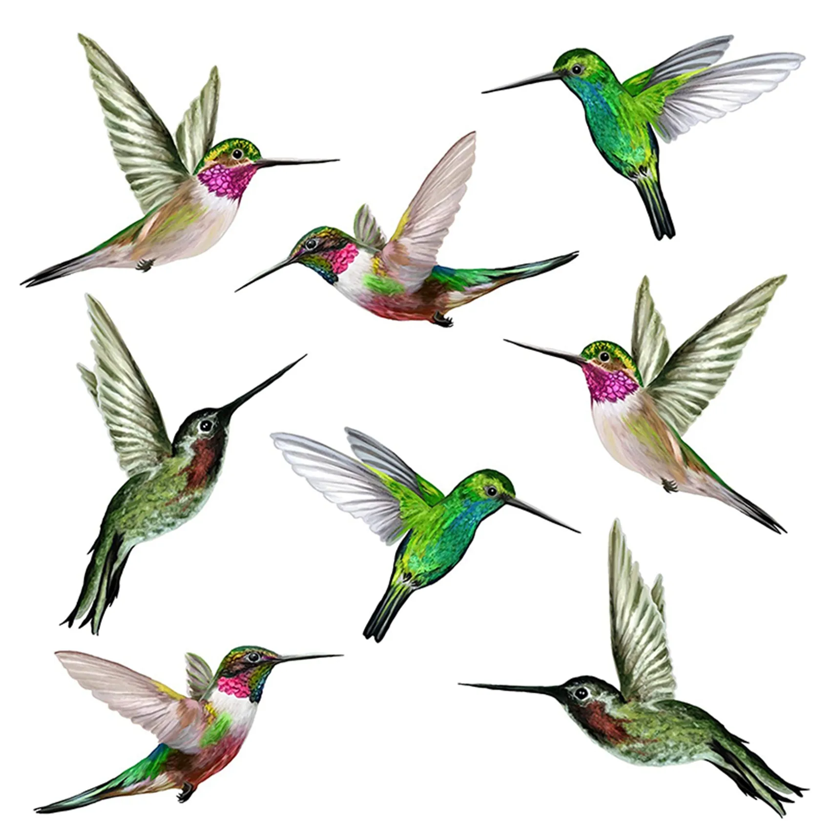 

8 Large Beautiful Humming Bird Static Cling Window Stickers Hummingbird Anti Collision Bird Strike Window Stickers