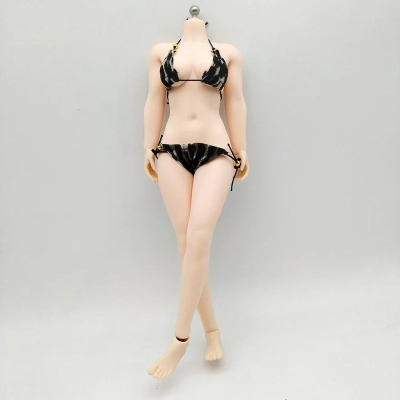 

1/6 Scale Plump Europe Female Women Pale Medium Bust Seamless Flexible Body 12" Action Figure Toys TBLeague Phicen PHMB2019 S28A