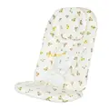 bearA cushion pillow