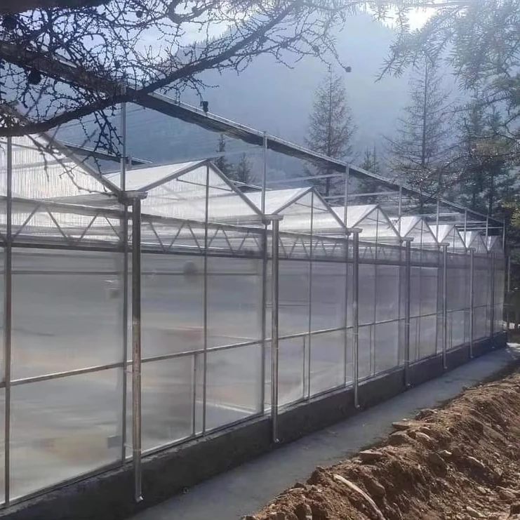 

Customized greenhouseLarge Low Cost Polycarbonate Greenhouse for Agricultural Planting PC Sheet Cover for Flowers and Vegetables