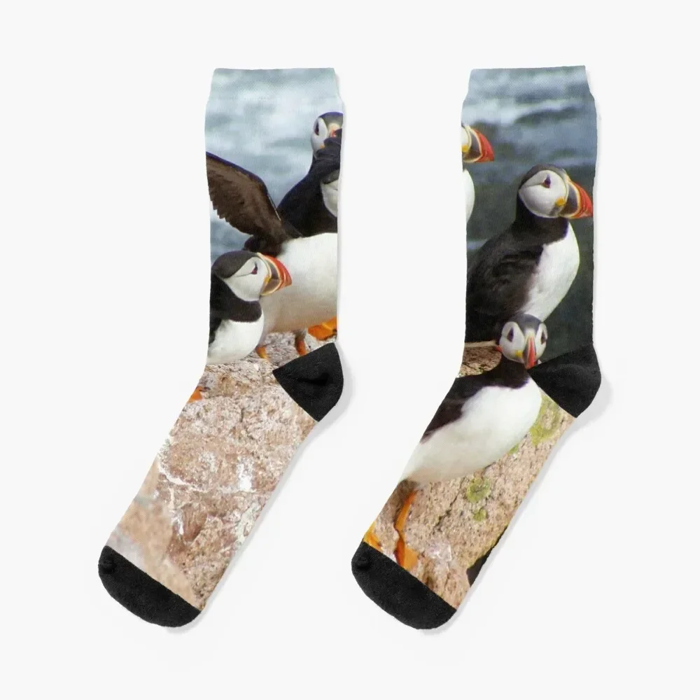 

Atlantic puffins Socks snow warm winter luxe Women Socks Men's