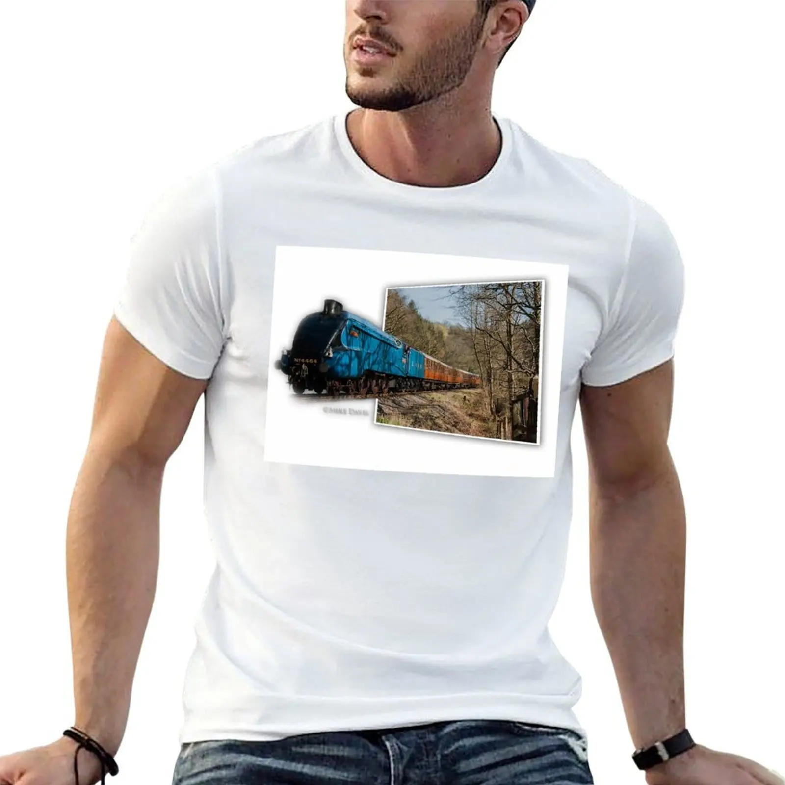 

3D Steam Locomotive LNER Class A4 4464 Bittern T-Shirt t shirts for man cotton soft printed t shirts for man T-Shirt