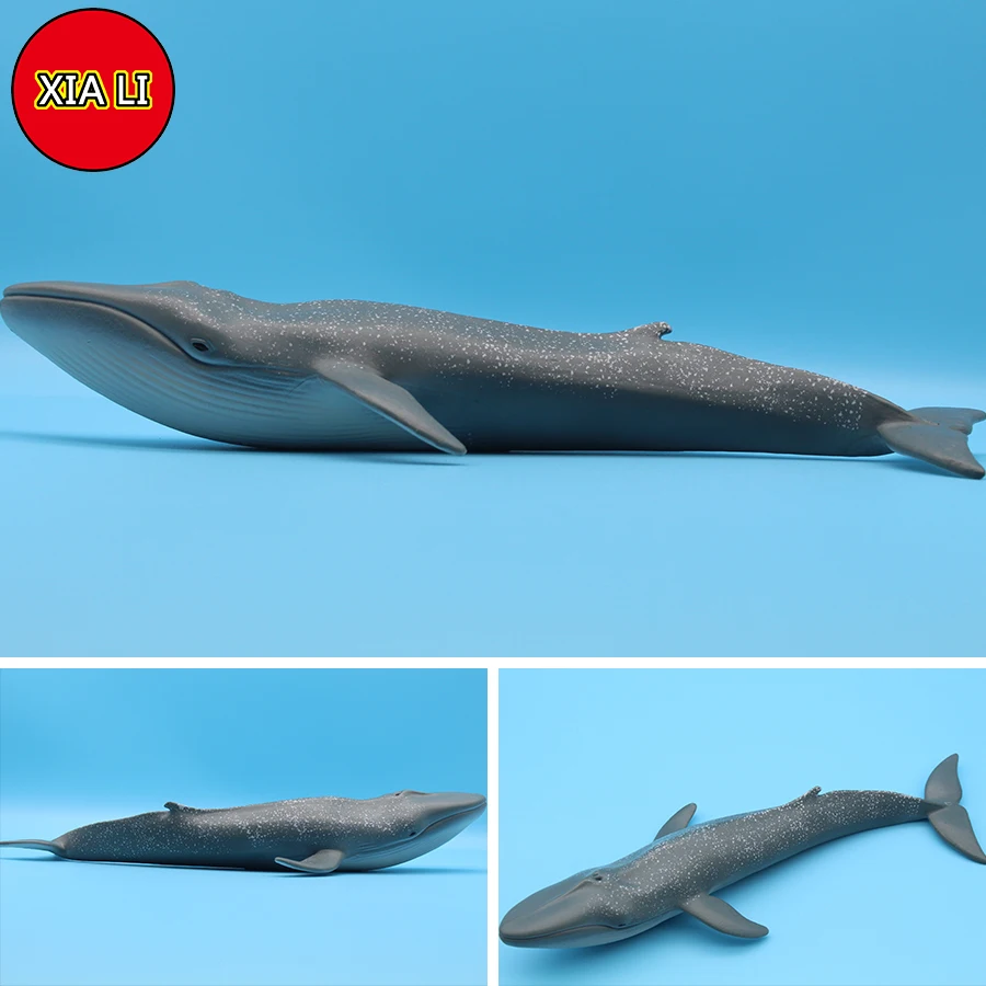 Ocean Sea Life Simulation Kill - Marine Life Aquariums ulasan dan harga