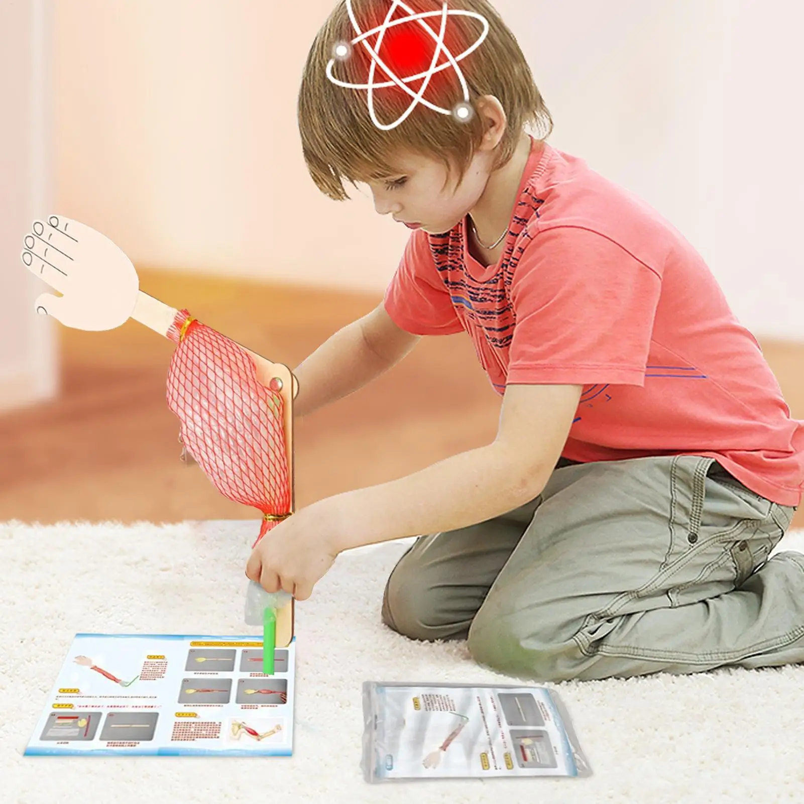 Interactive Science Project Toy Biological Science Model Science Experiment Toy For Projects Kids Learning Early Educational Toy