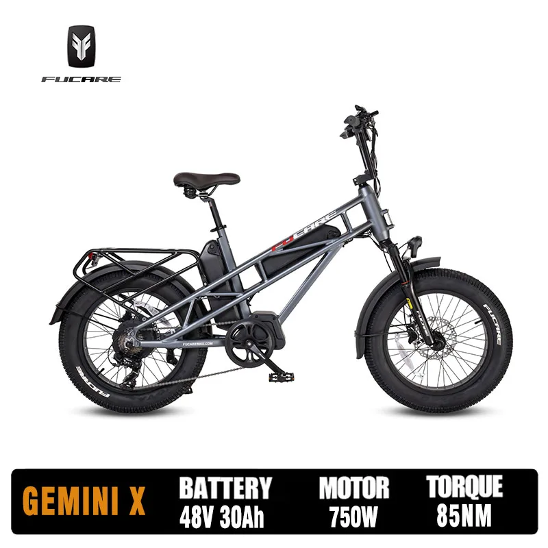 Fucare Gemini-Dual Battery Electric Bike for Adults, Long Range Ebike, 48V, 30Ah, 100-120 Miles, 400lbs Capacity, 750W Mot