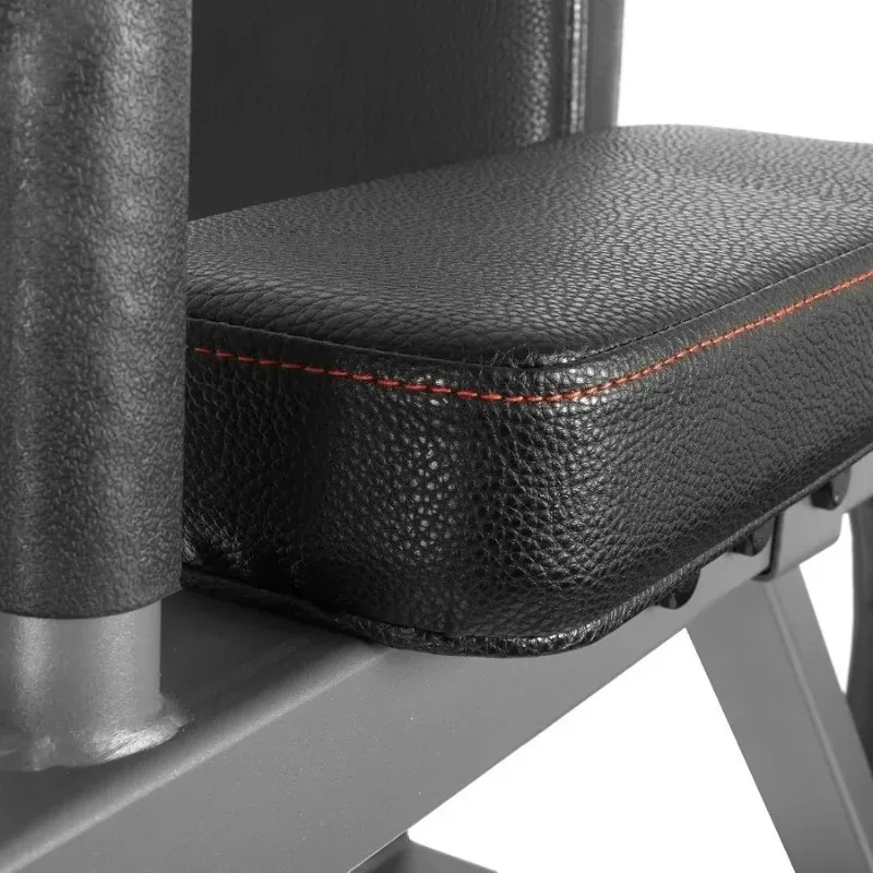 Dip Stand with Push Up Station, Commercial Vertical Knee Raise, Captain's Chair, Upper Body and Core Workout Machine