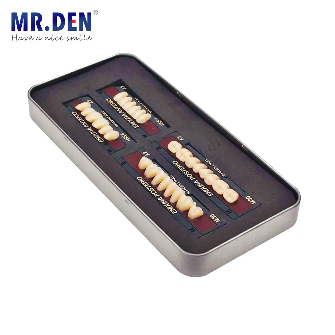 MR DEN Dental Plastic Steel TeethSynthetic Plastic Steel Resin Teeth Japan Dentures Full Dentures Plastic steelPorcelain Teeth