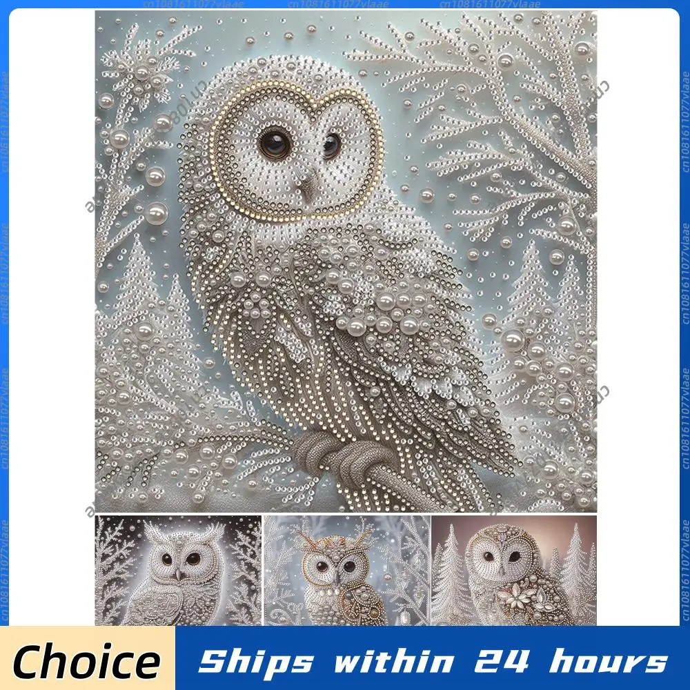 

DIY 5D Partial Diamond Painting Kit Owl Diamond Art Kits for Adults Special Shaped Diamonds Paintings Gem Art Home Decor 30x30cm