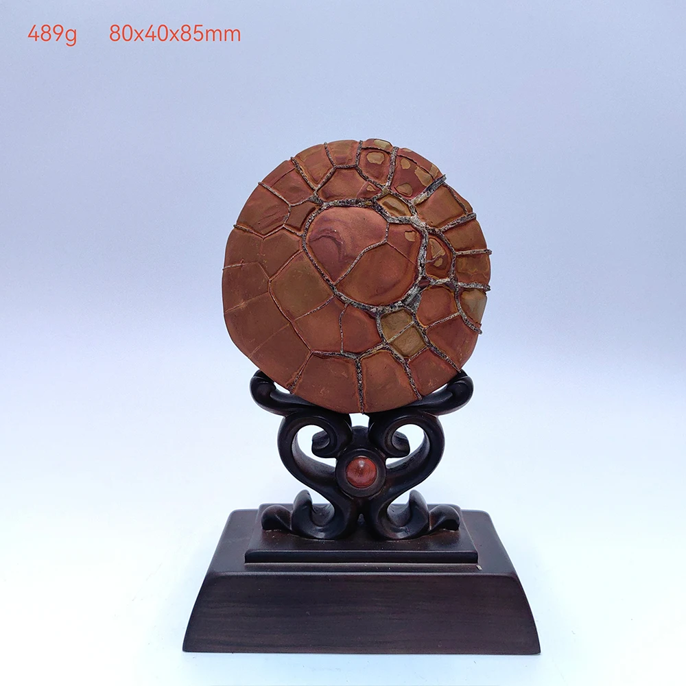 1PC Crystals Room Decoration Bronzite Natural Precision Collect Mountain Be Different From Others Asian Natural Stone Rock Reiki