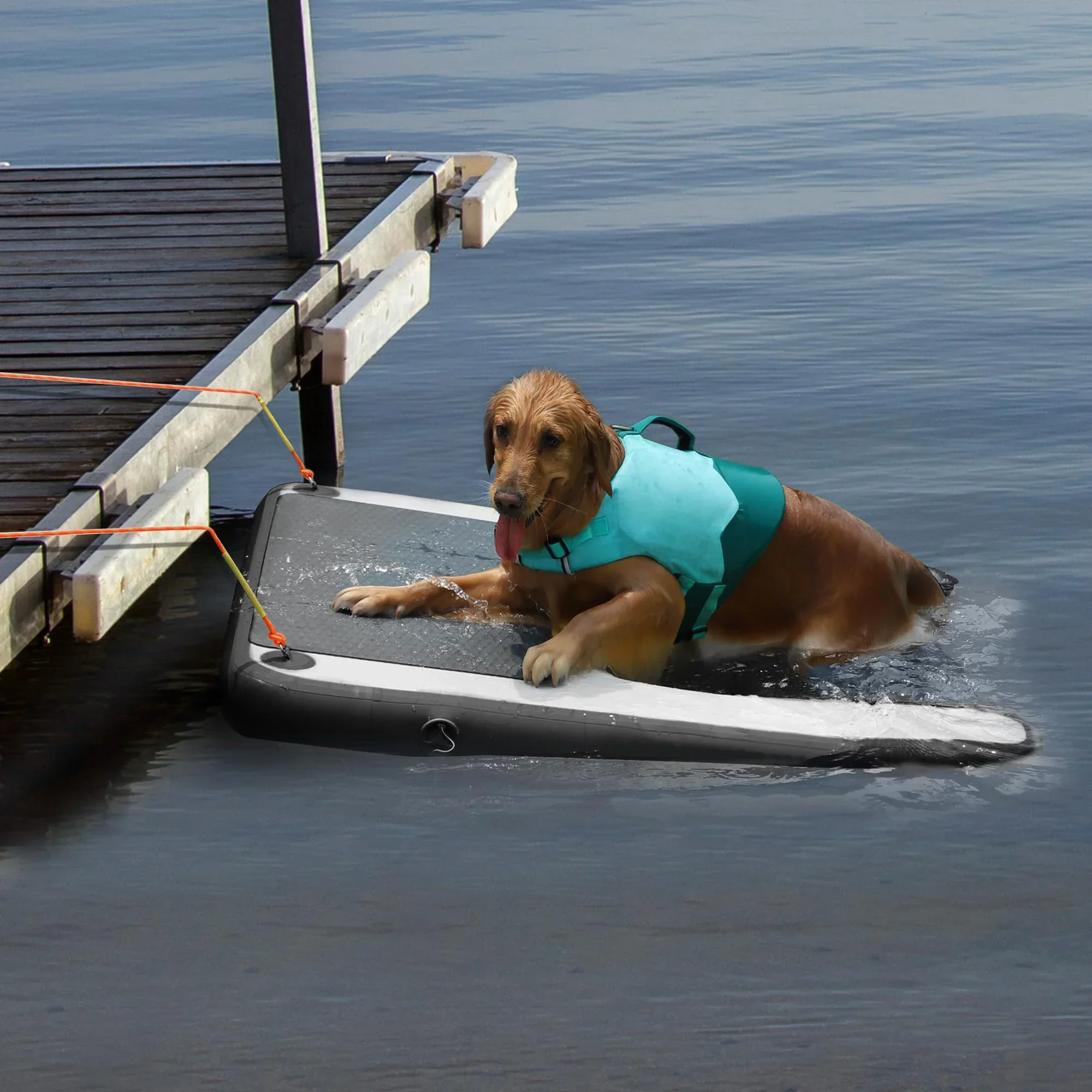Stock Rampa galleggiante gonfiabile nera per cani di grandi dimensioni - Animali domestici che nuotano fino a 220 libbre Cani di grandi dimensioni - Scale gonfiabili per barche, muelle