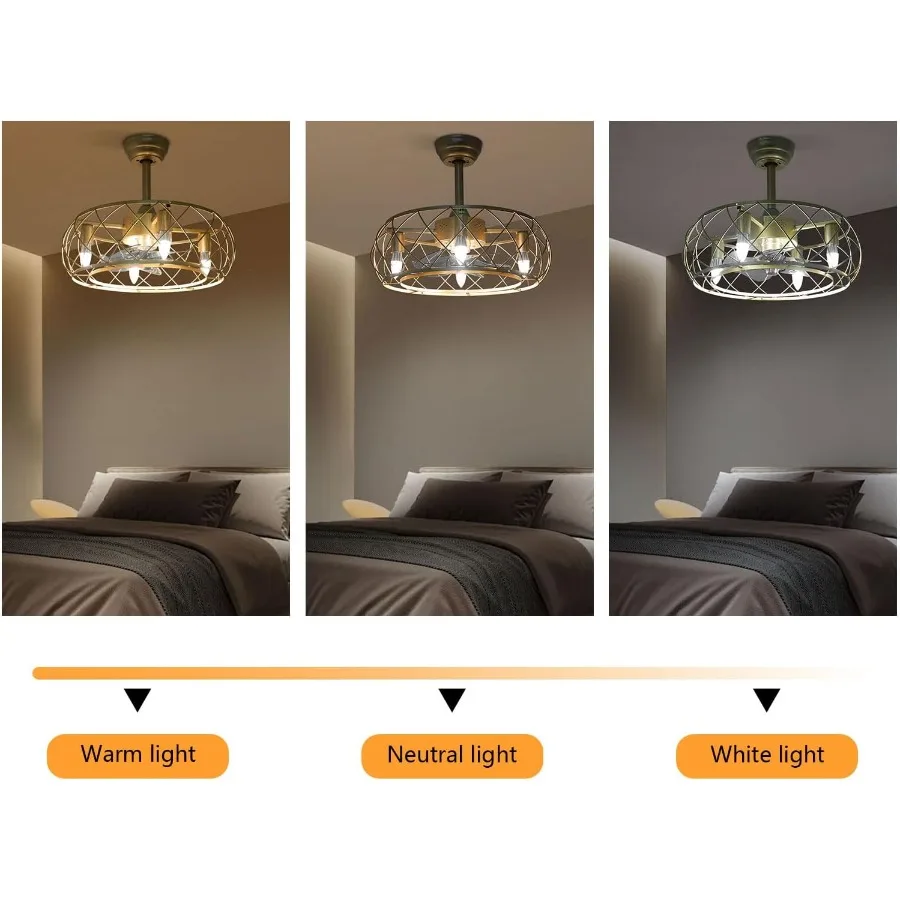 20'' Gold Cage Design Ceiling Fan with 3-Speed Operation Remote Control Functionality Industrial Enclosed Metal Construction Ch