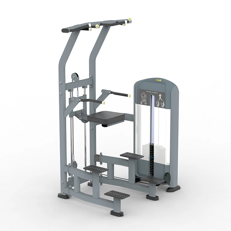 

High Quality Commercial Use Gym Equipment DS048 Chin up & Dip Assist Dip-chin Machine Fitness & Body Building