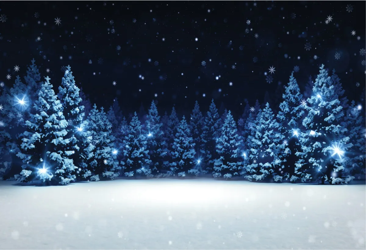 

Christmas Tree Snow Snowflake Winter forest wonderland wedding backdrop scenic photo studio background