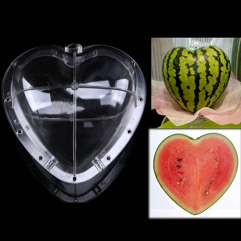 Watermelon Heart Square Shaping Forming Mold Growth Mould Fruit Growing  Garden Yard Tools Plastic