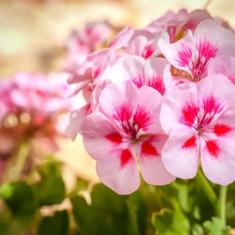 

Металлический модернизированный латунный противовес для автомобиля с дистанционным управлением 1/10 YK4102 4103 4082, 2020 г.