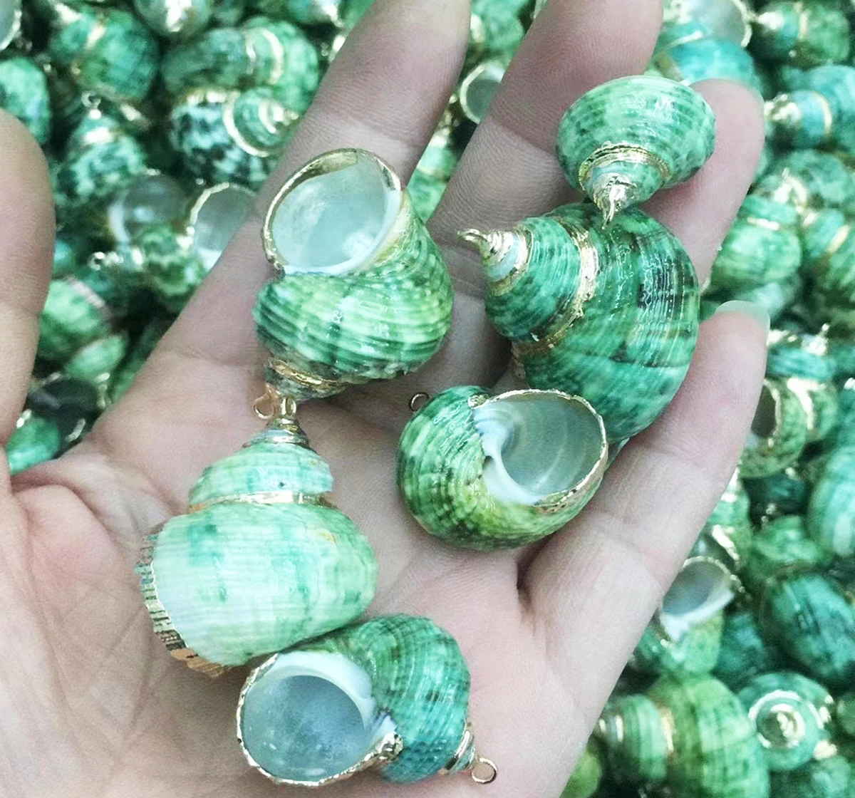 Natural Seashell Jewelry: Crafted Necklace Pendant & Color Printed Earring Materials, Made from Authentic Seashells & Conchs