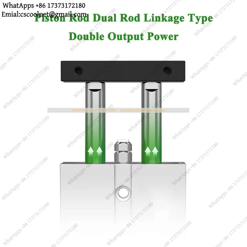 TN Pneumatic Cylinder Double Twin-Rod Air Cylinder 10 16 20 25 32mm Aluminum Alloy Stroke 30 40 50 60 80 100mm With Magnetic