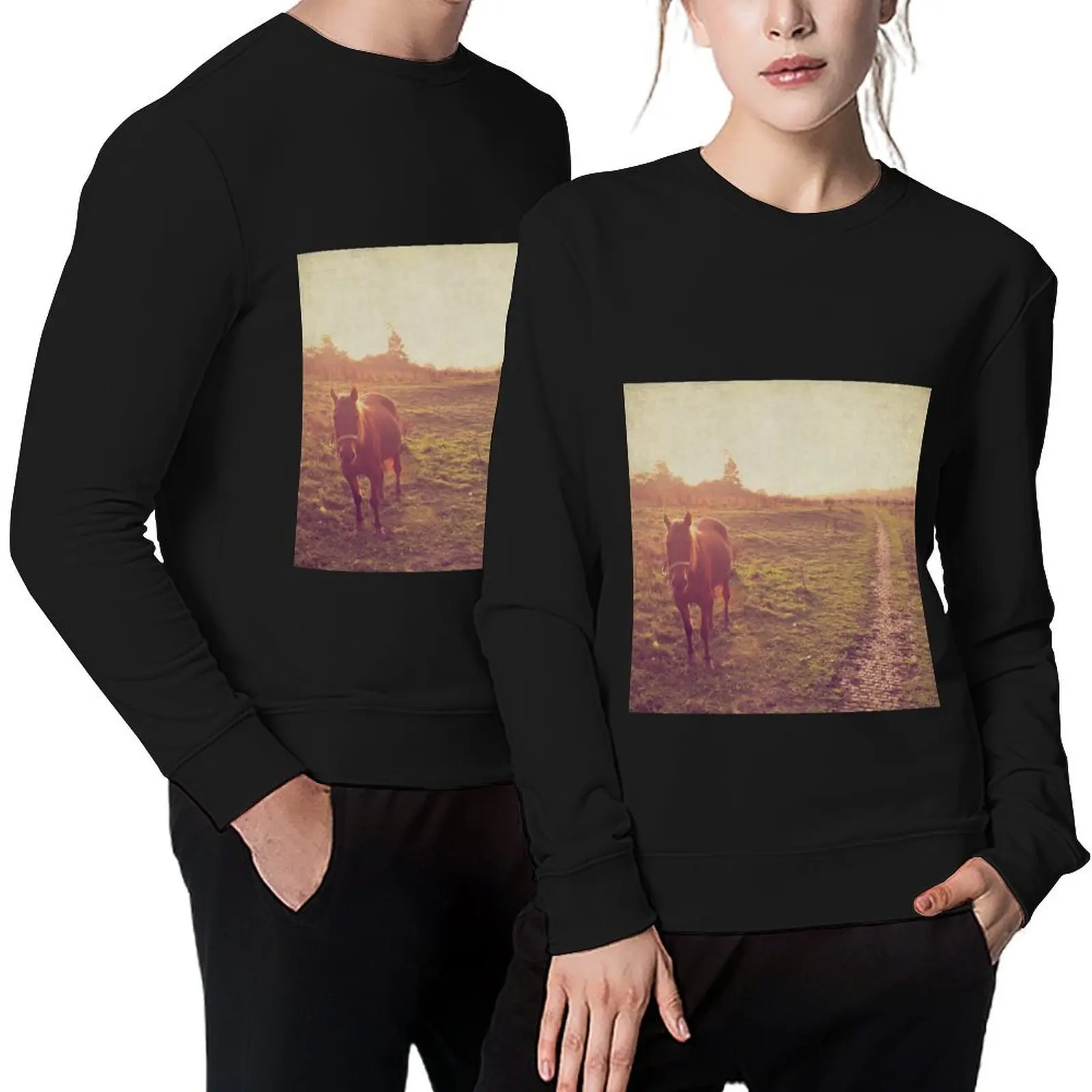 

Horse. Pullover men clothing autumn men's clothes men's autumn clothes sweatshirts for men