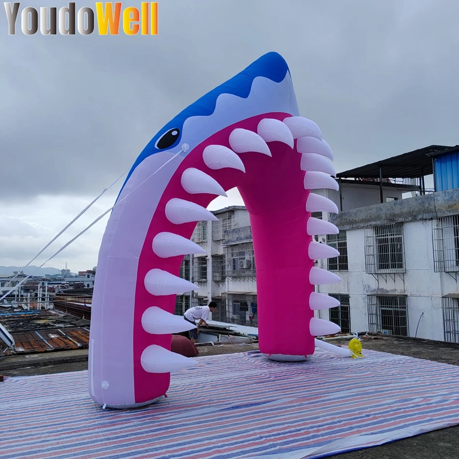 Swimming Pool Shark Arch Swimming Pool Seaside Beach Active Arch