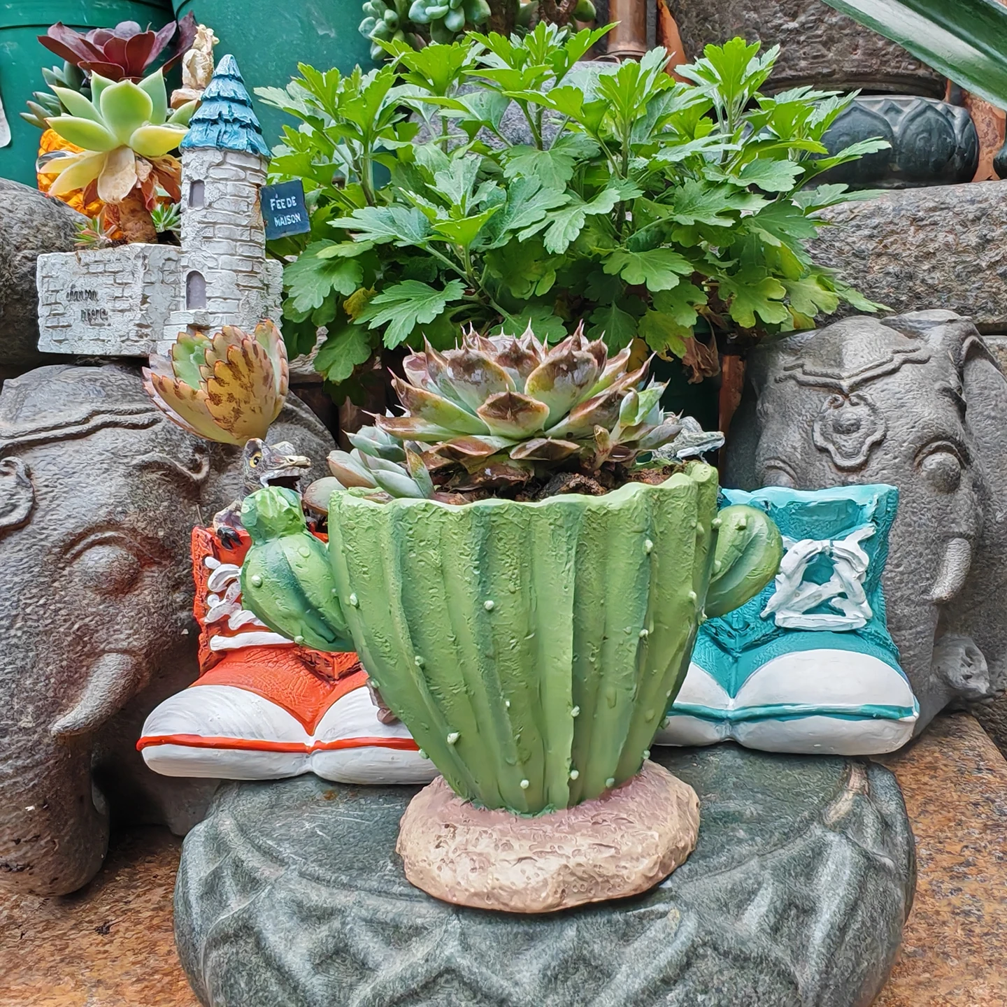 Doniczka na kaktusy, urocza mi – Cactus Mix Pot recenzja i cena