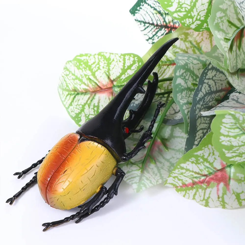 Collection  Fake Beetle Beetle Figures Simulation Animals Simulation Beetle Beetle  Insect Model Special Lifelike Model