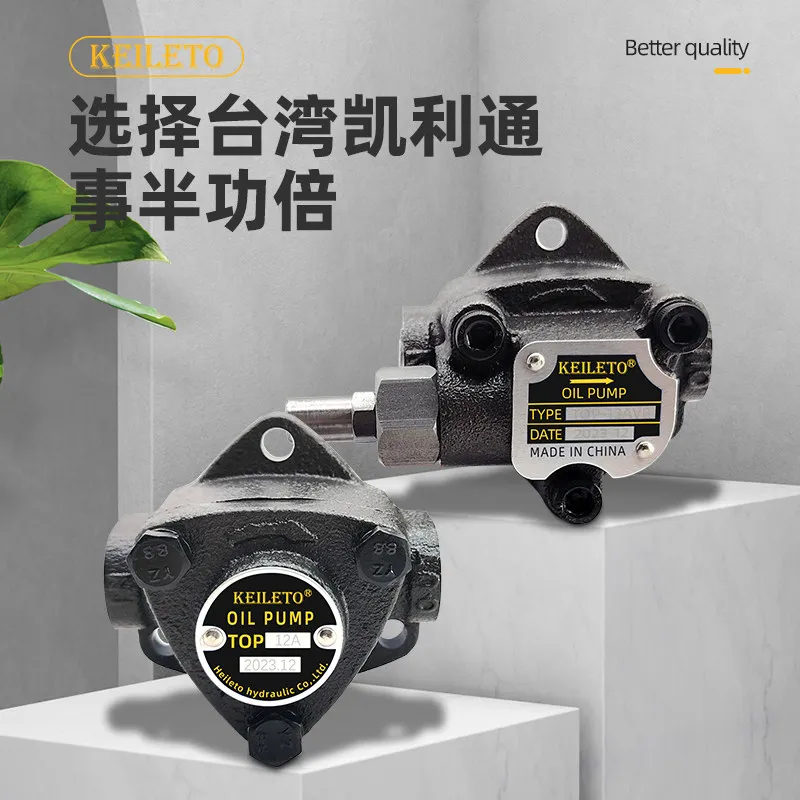 Taiwan TOP-11A Lubricated Triangular Cycloid Gear Pump TOP-12A TOP-13AVB Motor Oil Pump, 1PCS