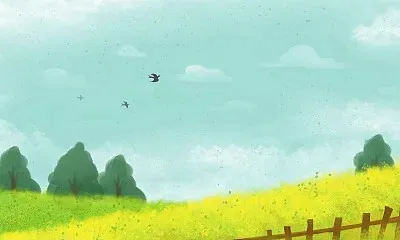 

Премиальная графитовая пластина редуктора с подшипником для Kyosho MP11 - TO-267-MP11, запчасти для тюнинга радиоуправляемых машин 1/10, оригинальные комплектующие