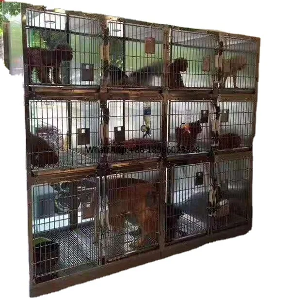 steel glass tempered glass jaulas para mascotas stainless steel dog kennel cage veterinary cages