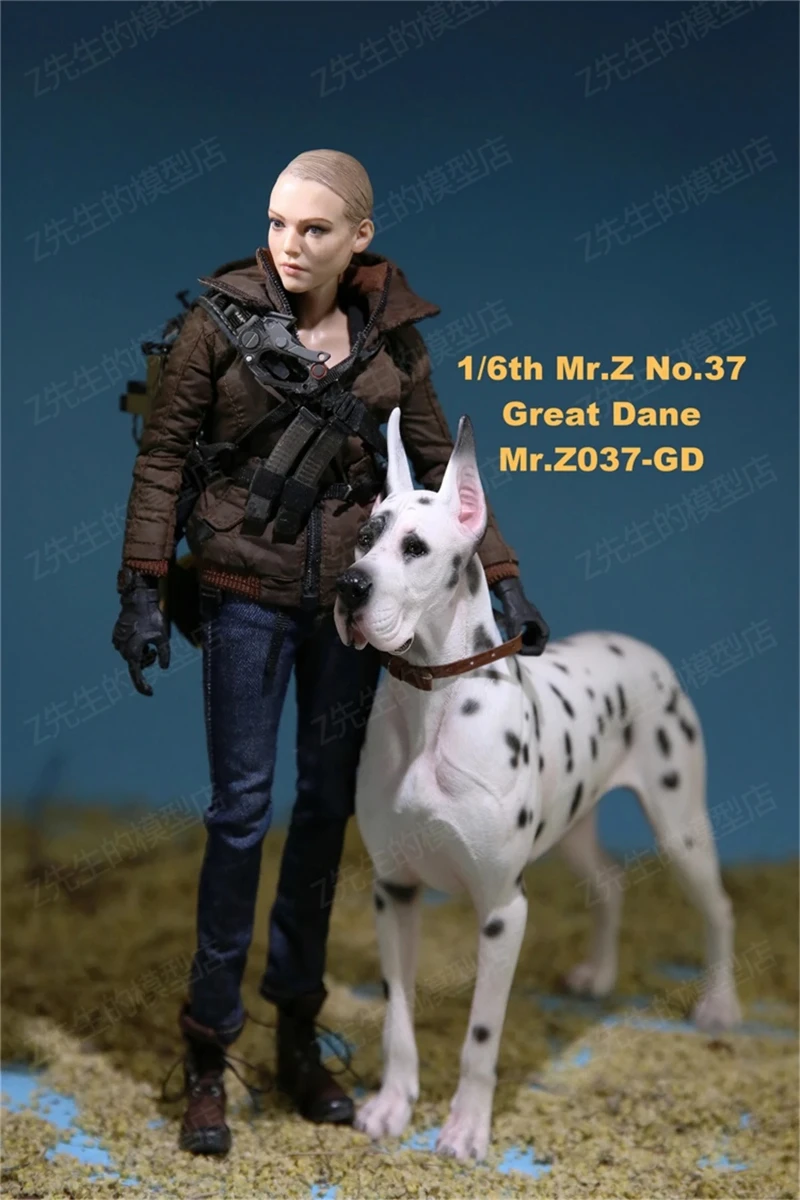 

Mr.Z 1:6 Scale German Great Dane Dog Pet Action Figure Animal Model Toy Realistic Decoration Collection Display Fans Gifts