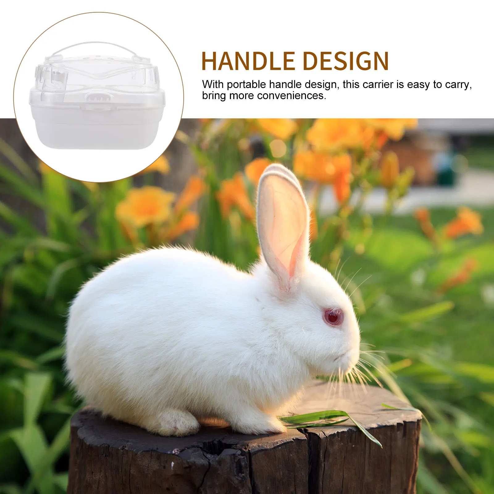 

Hamster Cage Pet Transport Carrier Dedicated Travel Carry Case Portable Pp Carrying