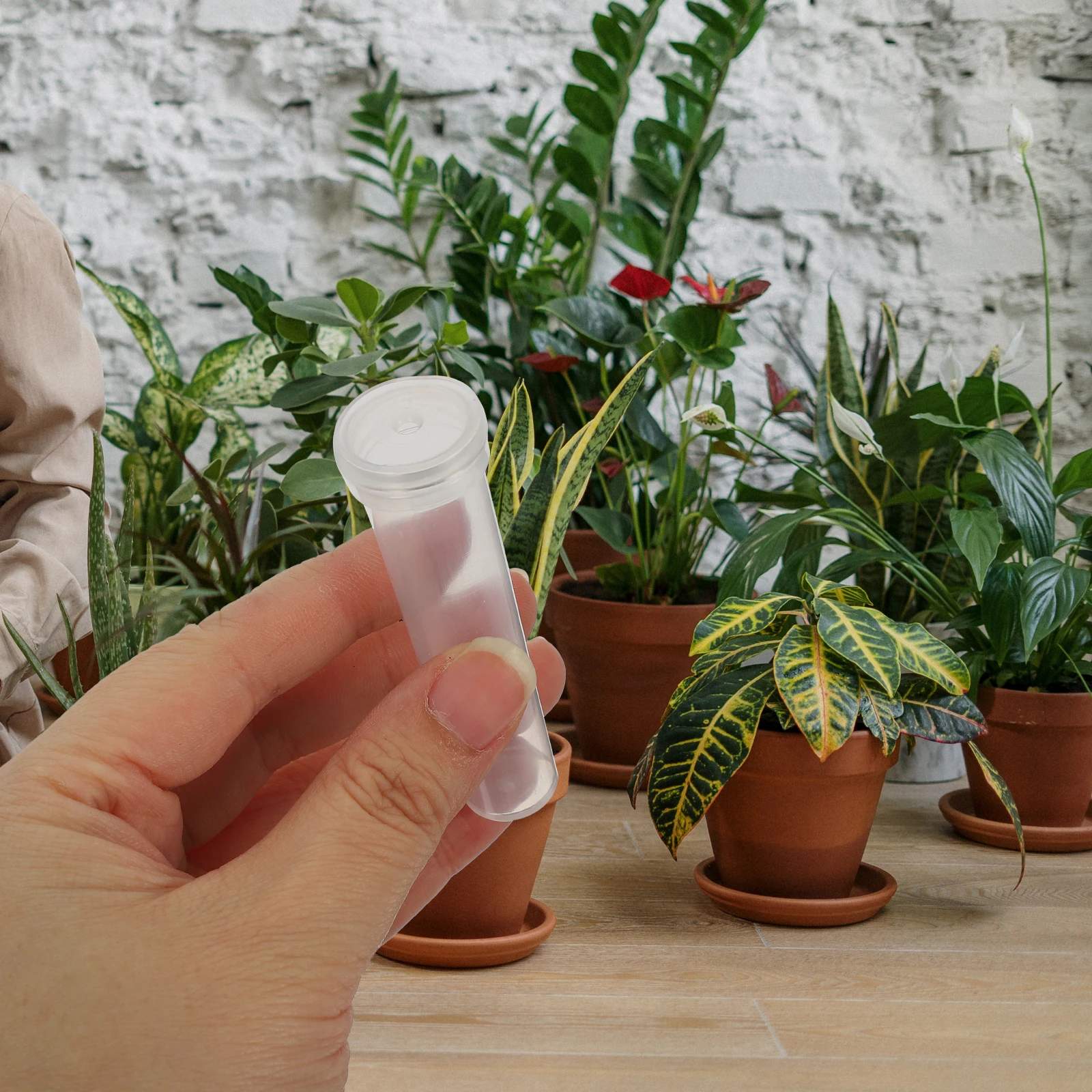 

25pcs Nutrition Tubes for Flowers Eco Friendly Plastic Long Term Freshness Flower Water Container Florist Supplies
