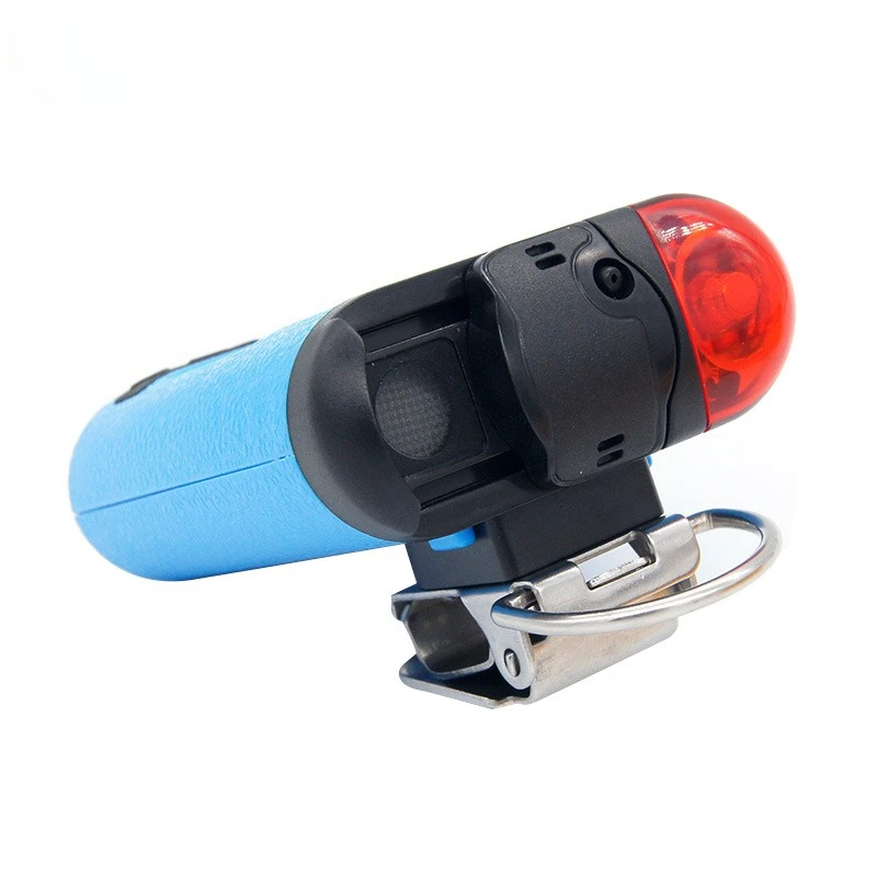 

Explosion-proof gas detector