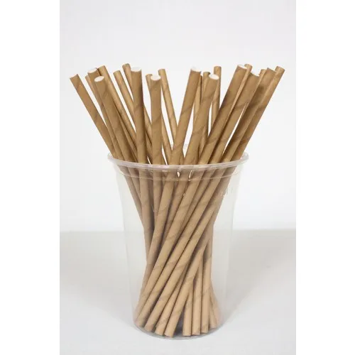 Dolphin Paper Straws Virgin 22CM 25LI