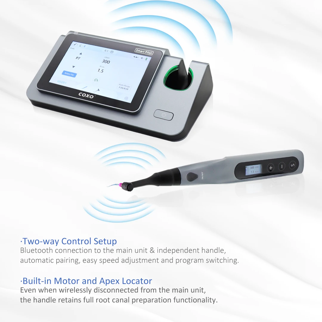MANDA COXO C-SMART-i PILOT Dental Endo motors Large-size Color LCD 5 in 1 Functionality Contactless Super Mini Head charging