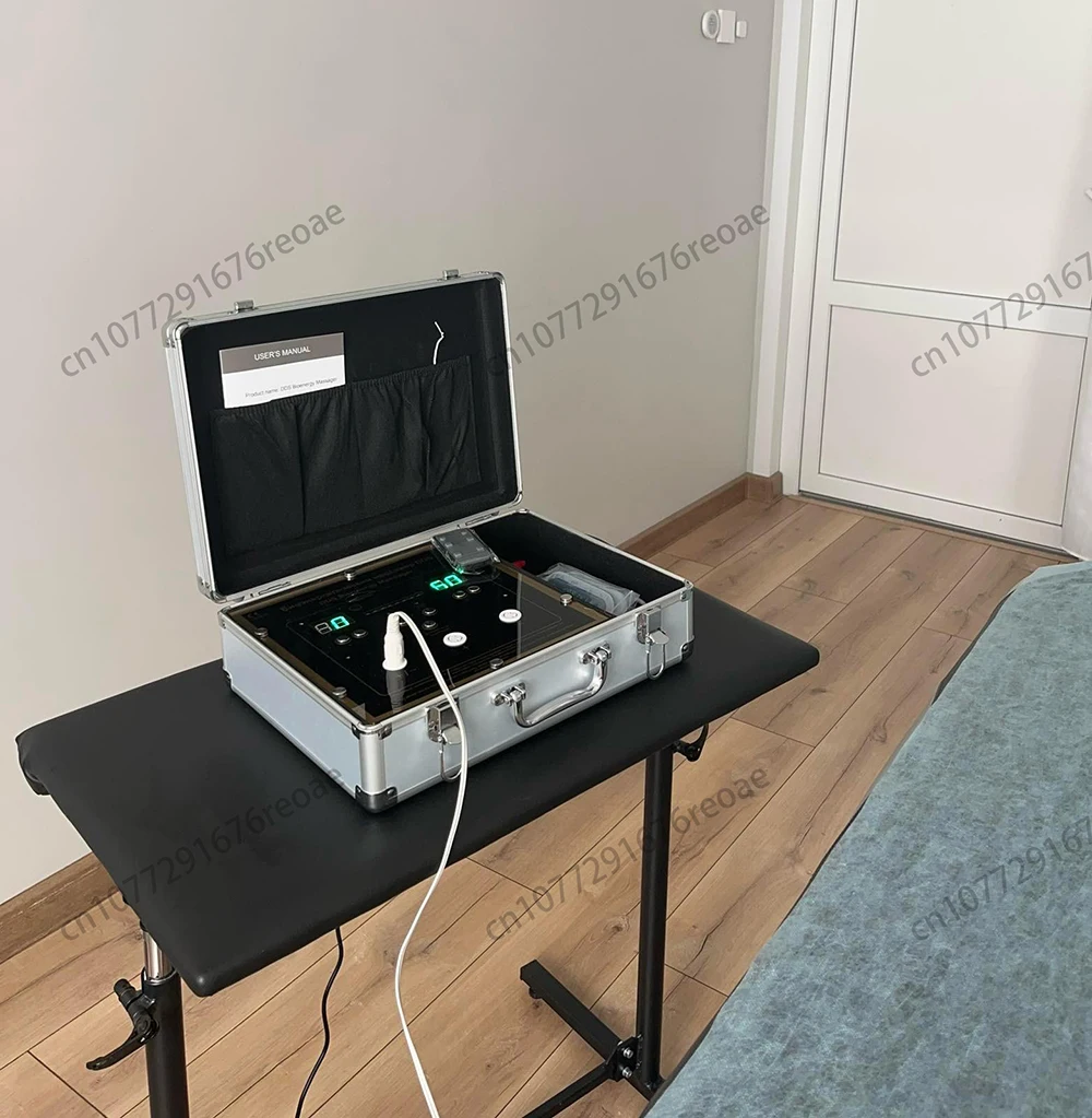 Wholesale Price Bioenergy Massage Machine Bioelectric Meridian Dredge Pulse Physiotherapy Instrument Healthcare Supply