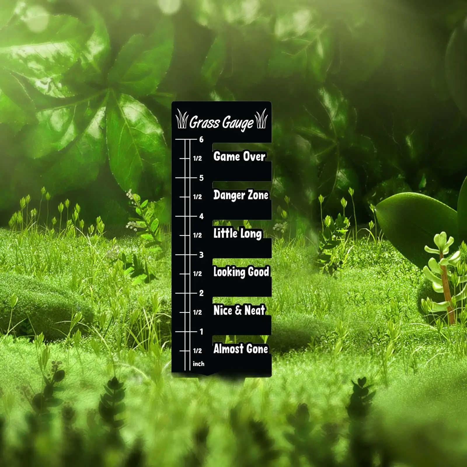 

Grass Gauge, Lawn Measuring Ruler Tool, Plant Growth Height Measurement