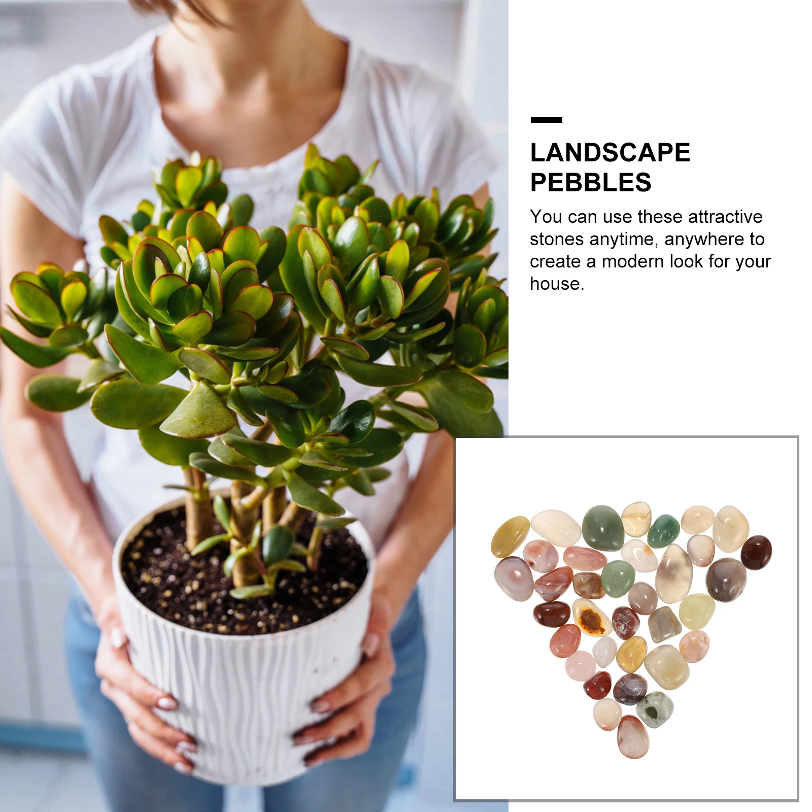 

Colorful Natural Stones for Plant Pots Indoor Garden Decor River Pebbles Shiny Polished Easy Cleaning Landscape Pebbles Aquarium