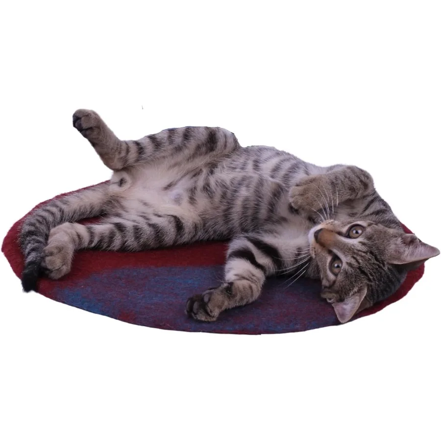 

Уютный большой ковер из натуральной мериносовой шерсти для домашних кошек и маленьких собак: теплый коврик из органической овечьей шерсти, устойчивый к царапинам напольный коврик