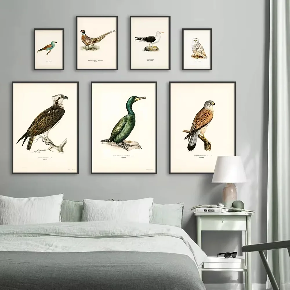 Retro Birds Poster and Print Vertebrate Canvas Painting Cormorant Bird Wall Picture Realism Art Mural Home Decor for Living R