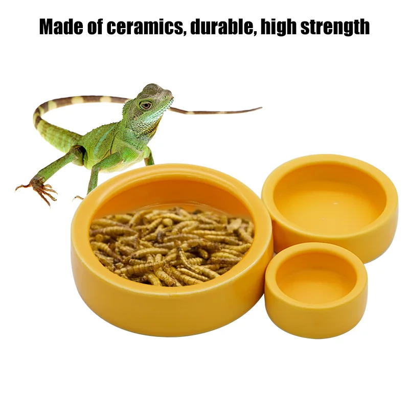 Ciotola per cibo per acqua per rettili Piatto per vermi Ciotole per animali domestici in ceramica Mini ciotola per vermi da reptile anti-fuga per drago barbuto lucertola