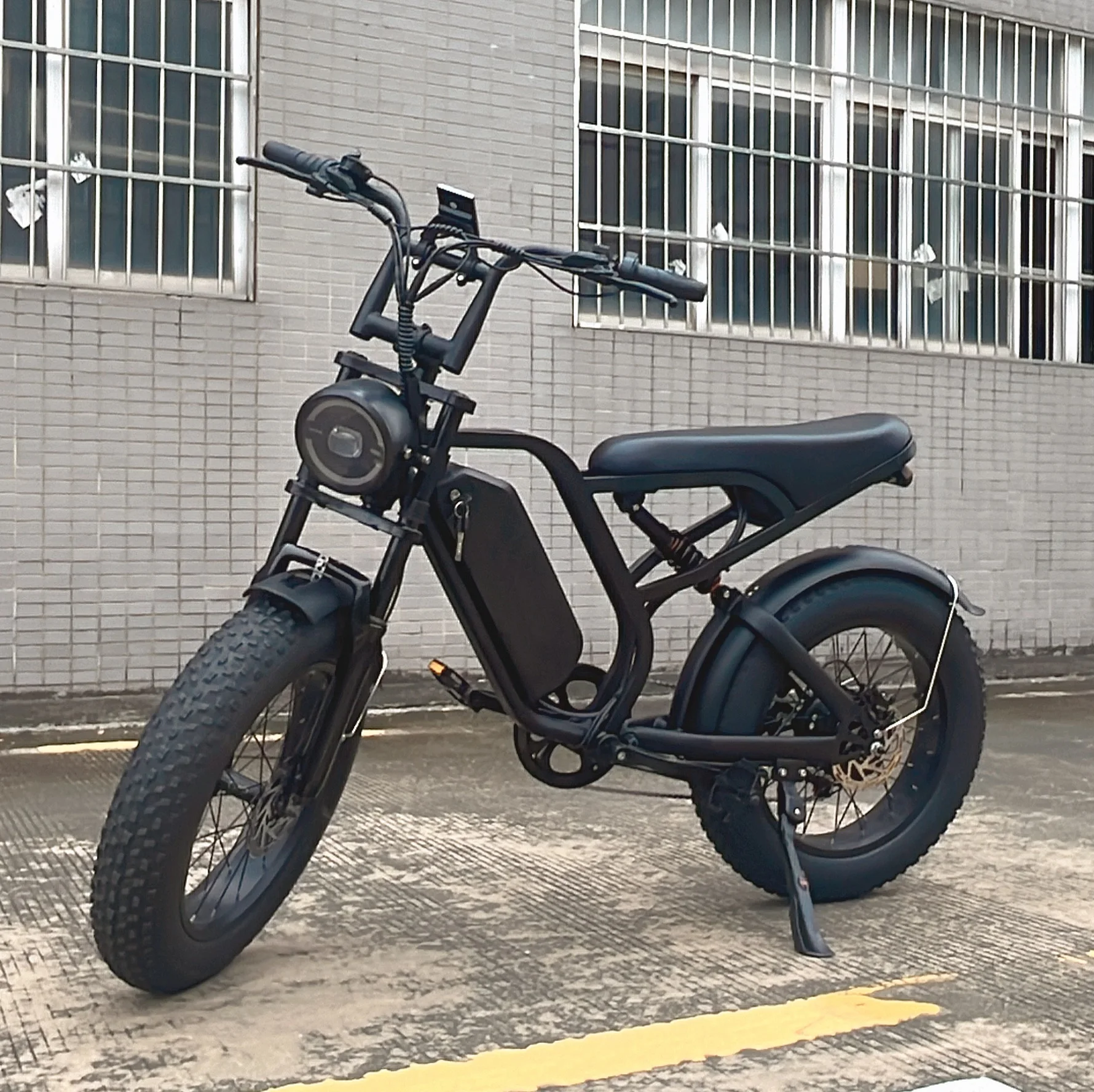 

Electric Bike for Adult 1000w 20 Inch Fat Tire E Bike Electric Bikes 16ah Large Electric Bicycle 48v