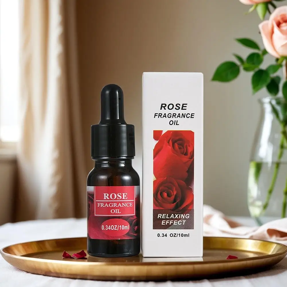 

Car Fragrance Humidifier Air Freshener Natural Plant With Perfume 10ML Aromatherapy Dropper Oil Eliminating Essential Odors K5M8