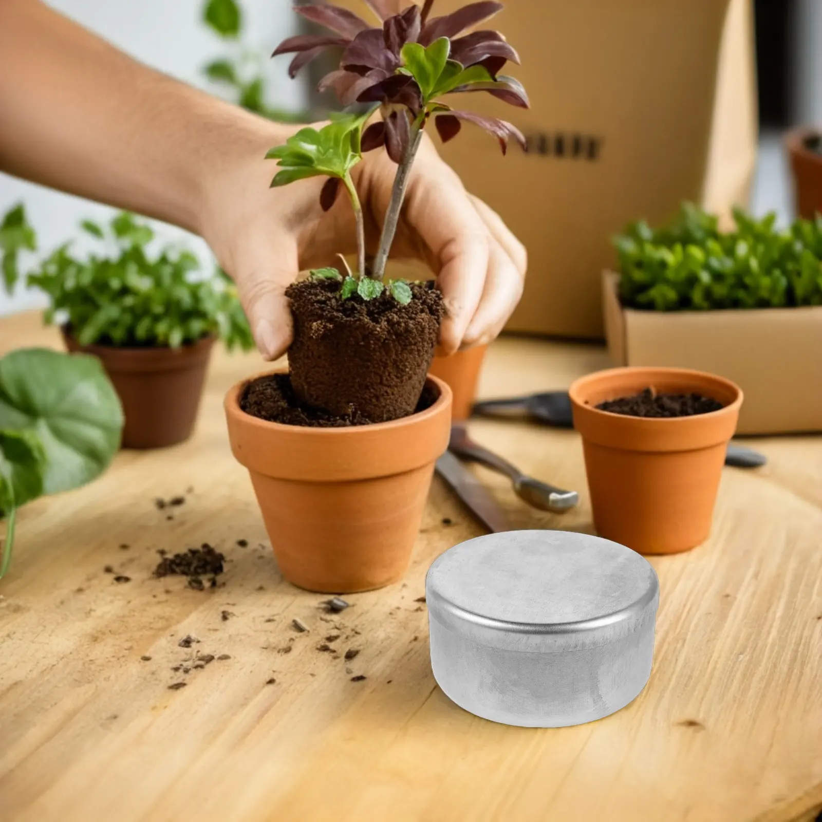 Sprouting Tray Germination Box Aluminum 4 Round Seedling Starter Container Home Balcony Garden Nursery Pot Plant Growth Tray