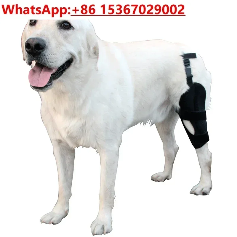 Dog Knee Support Protector Cruciate Ligament Patellar Dislocation Fixation Belt Protection
