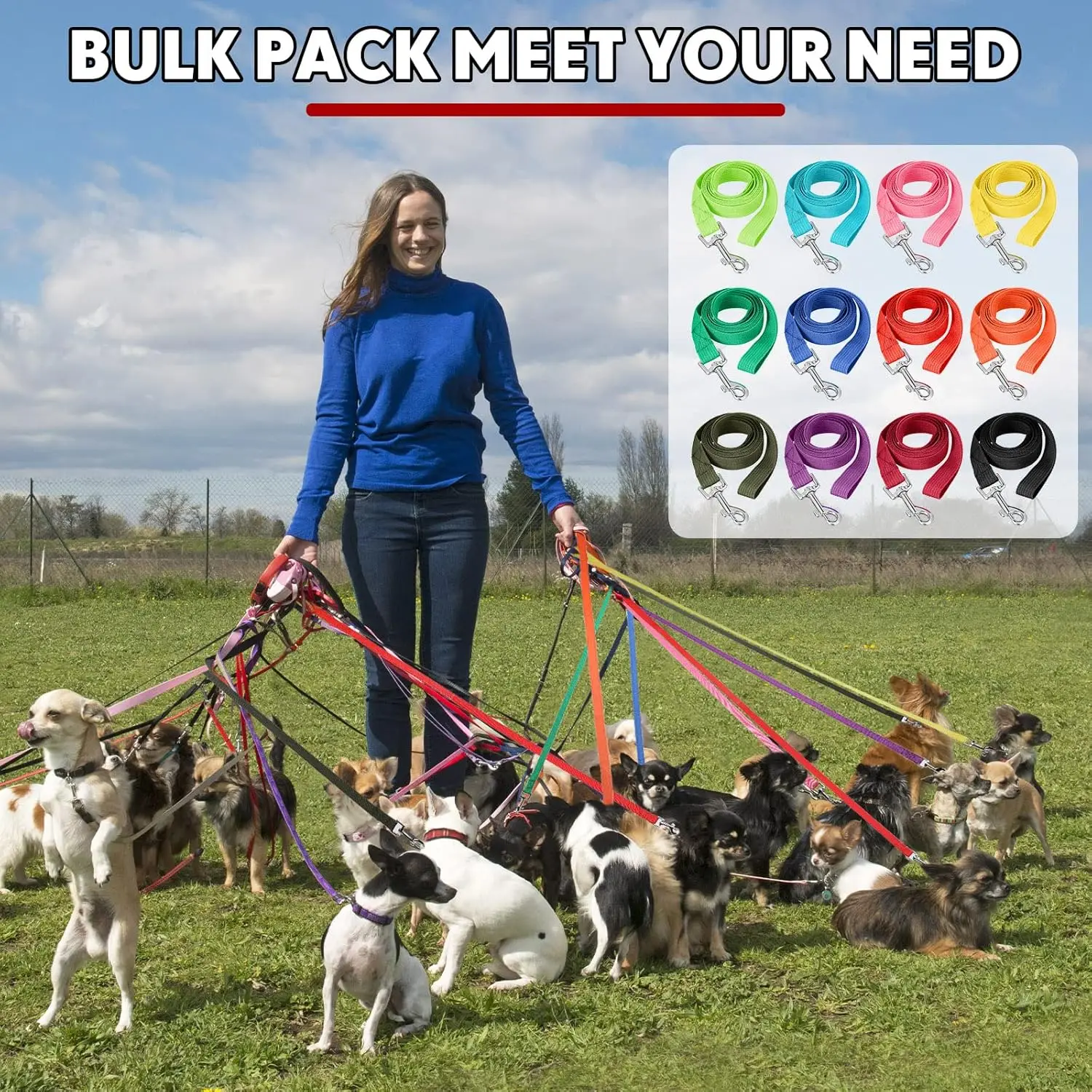 

Nylon Dog Leash Bulk 5ft Dog Training Leashes 12 Bright Colors Puppy Line Traction Rope for Small Medium Puppy