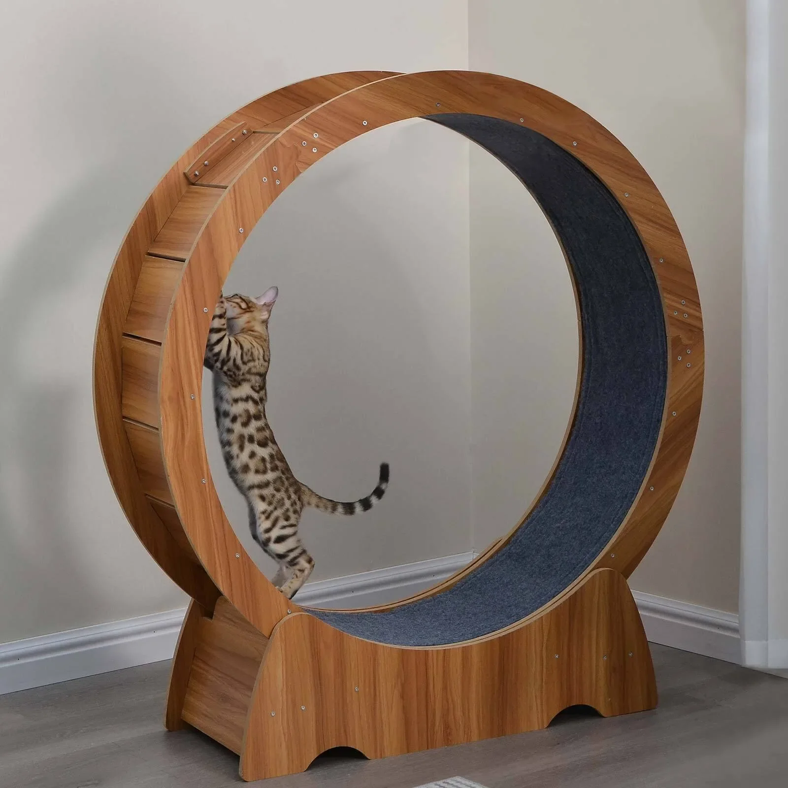 Cat Exercise Wheel Large Wooden/PVC Cat Treadmill Running Wheel Cat Toy